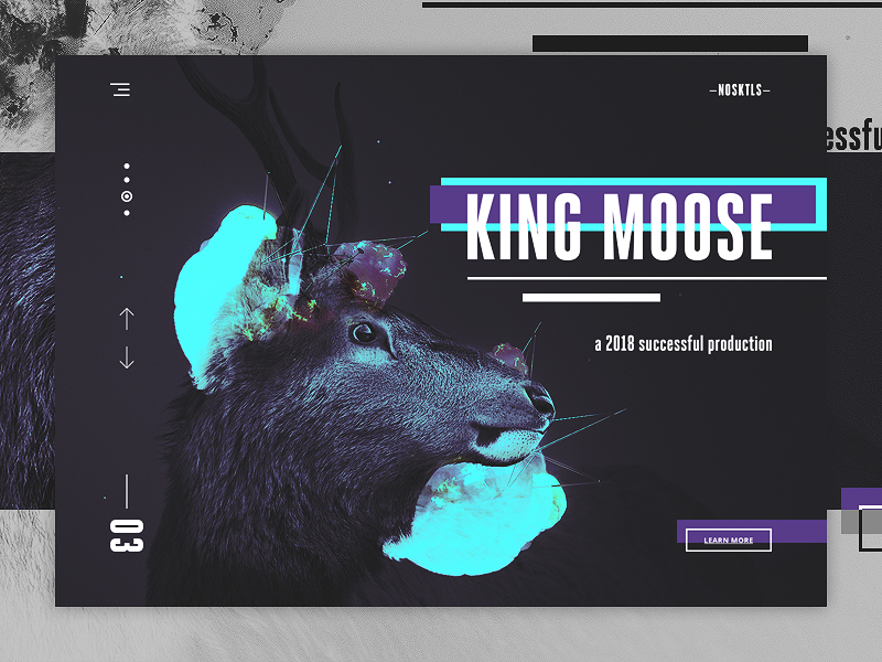 Website Design