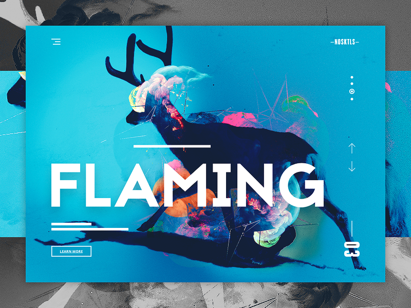 Website Design